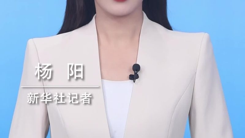 上海科技公司经营范围清单：揭秘企业多元化布局